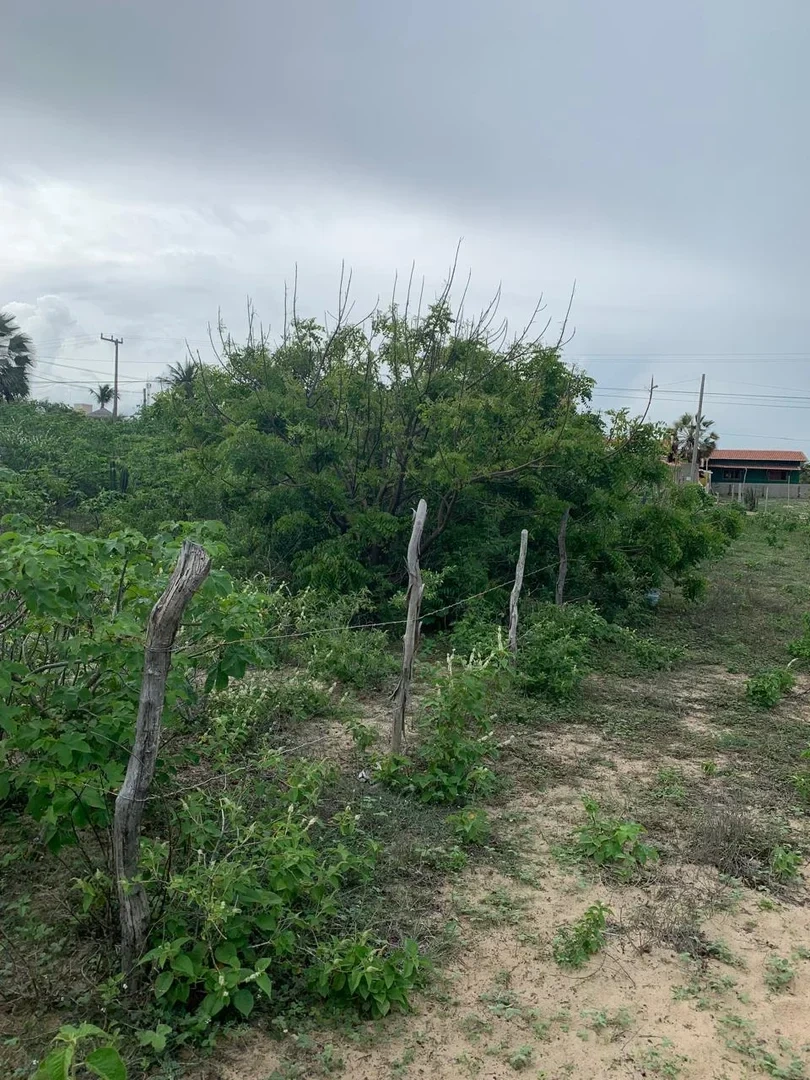 1 - verkauf grundstück strandpromenade fortim ceará brasilien