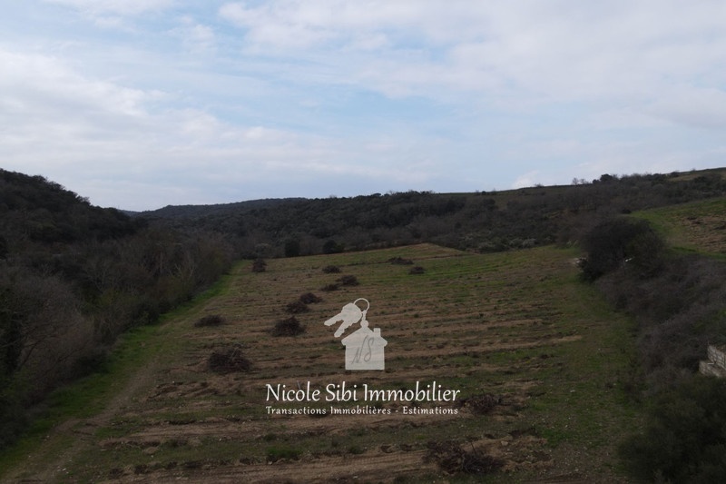 1 - verkoop terrein montner pyrénées-orientales frankrijk