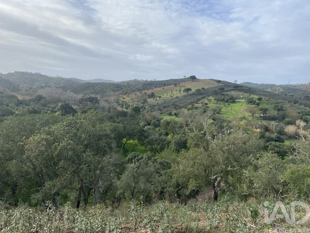 1 - vendita terreno são brás de alportel algarve portogallo