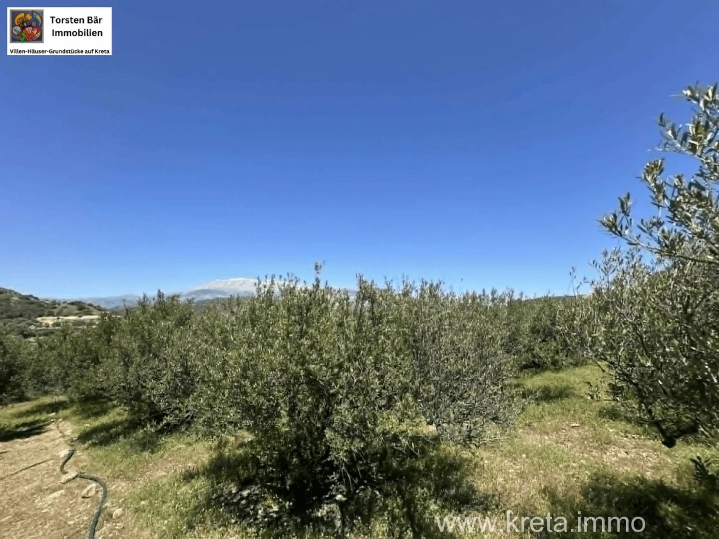 2 - vente terrain agia galini crète grèce