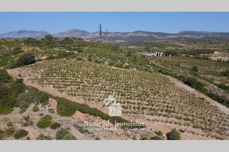 1 - venta terreno tautavel pirineos orientales francia