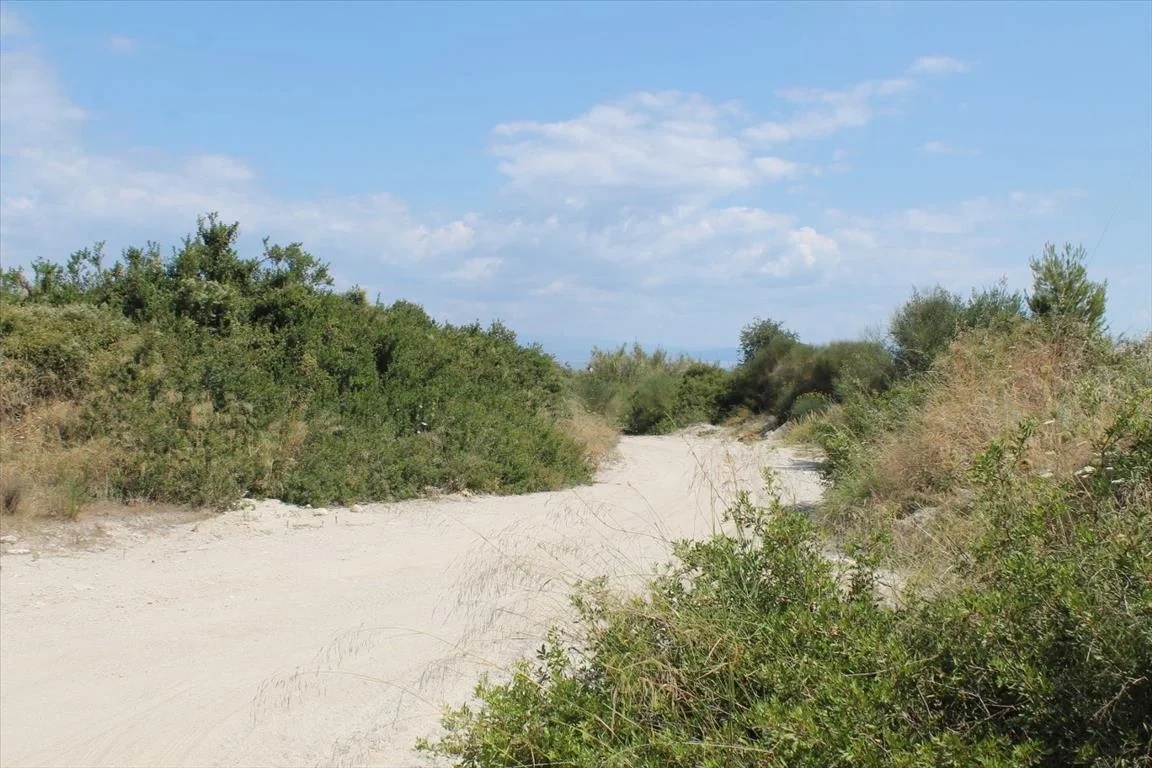 2 - vente terrain vue mer polychrono macédoine centrale grèce