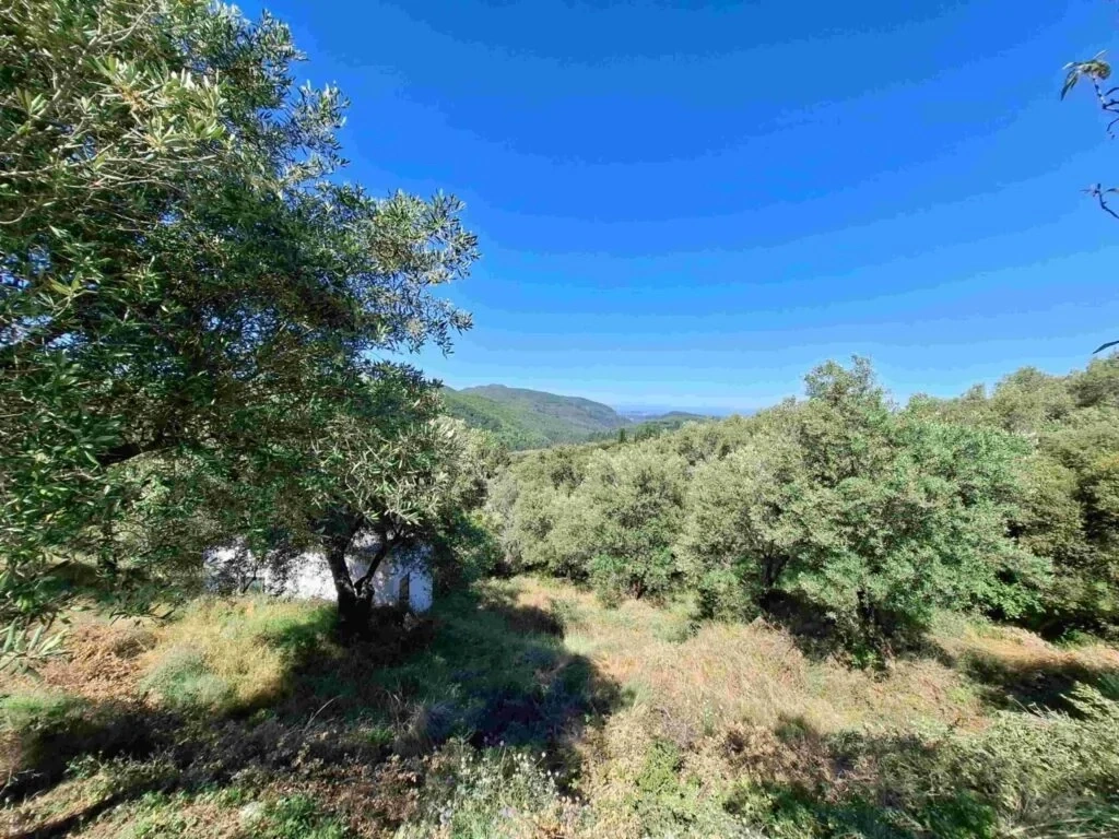 2 - vente terrain corfu îles ioniennes grèce