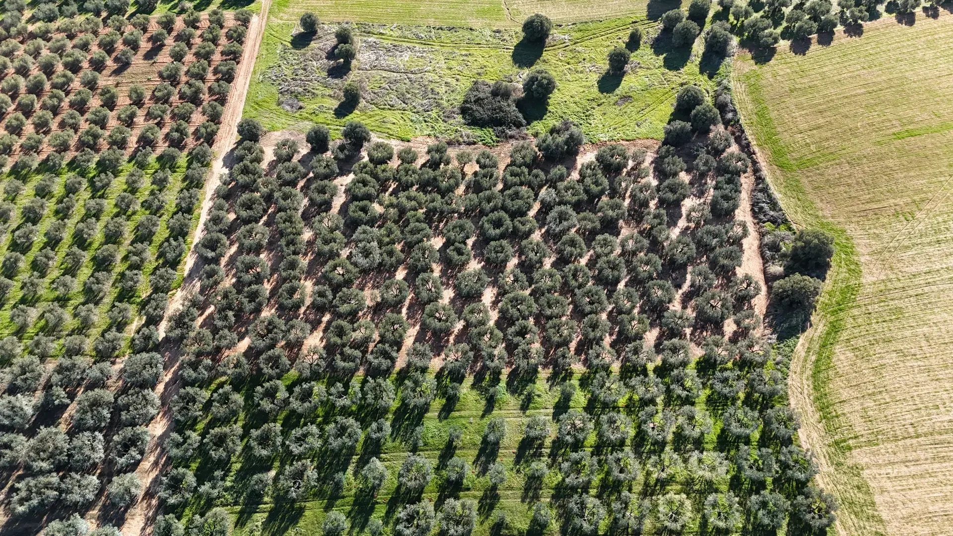 2 - vente terrain néa moudhaniá macédoine centrale grèce
