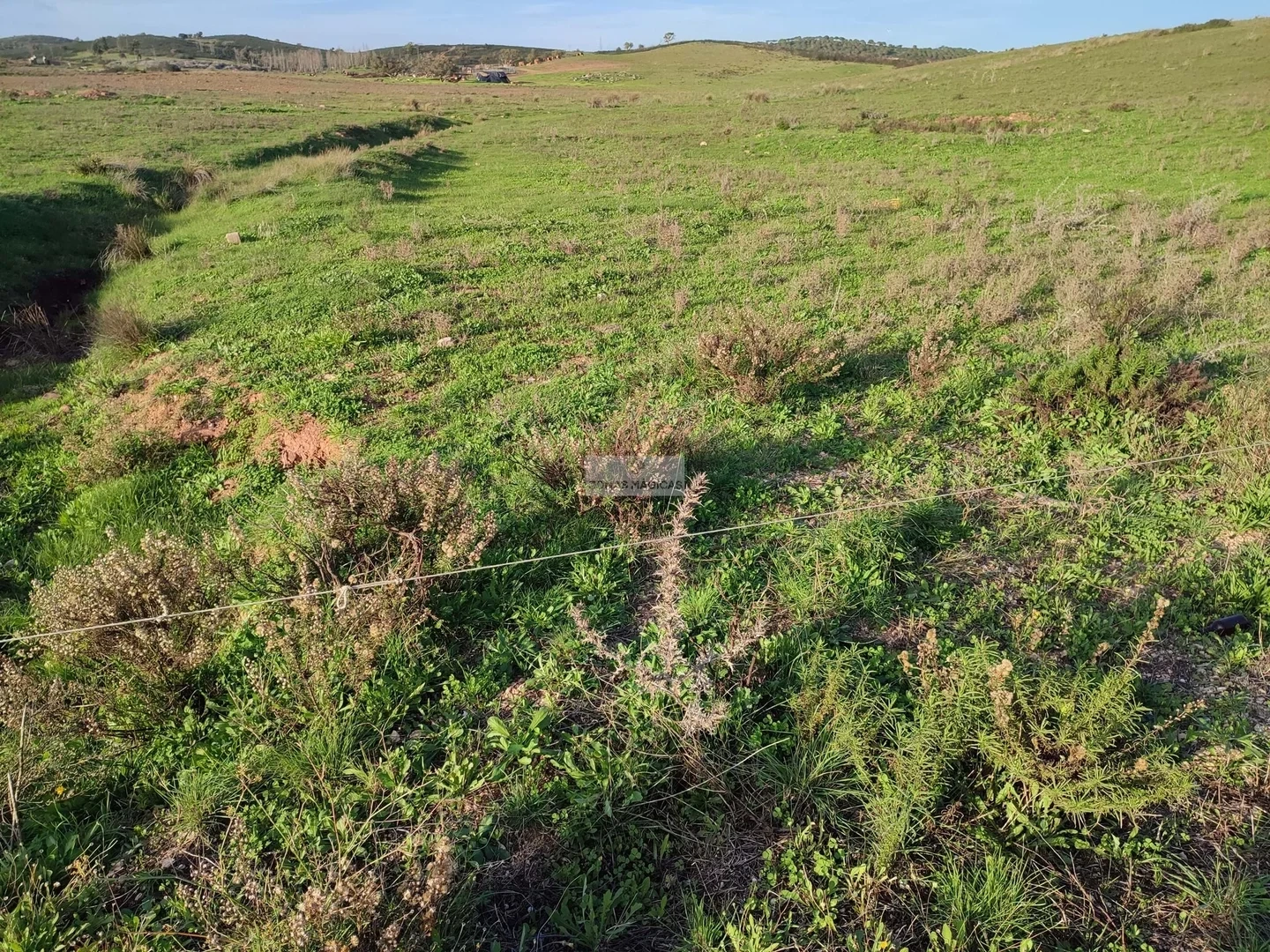 1 - venta terreno vila do bispo algarve portugal