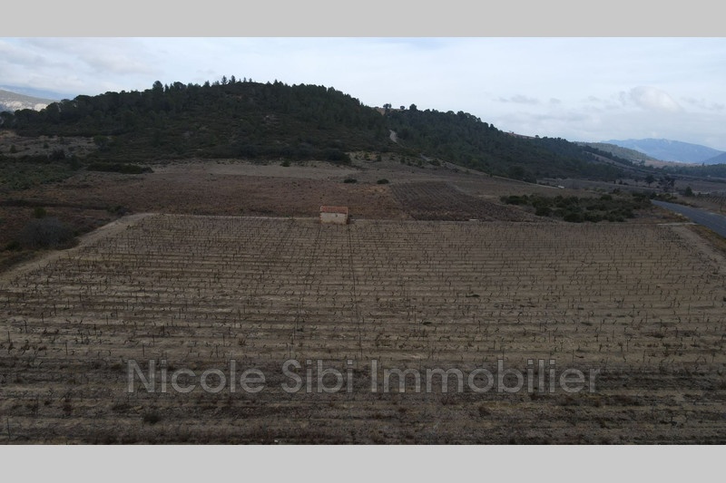 1 - venta terreno tautavel pirineos orientales francia