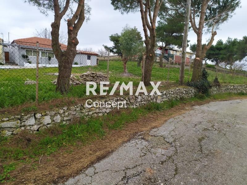 1 - vendita casa zante isole ioniche grecia