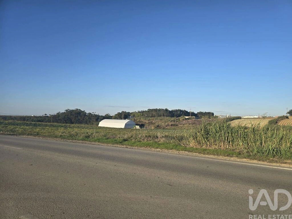 2 - vendita terreno atouguia da baleia regione centro portogallo