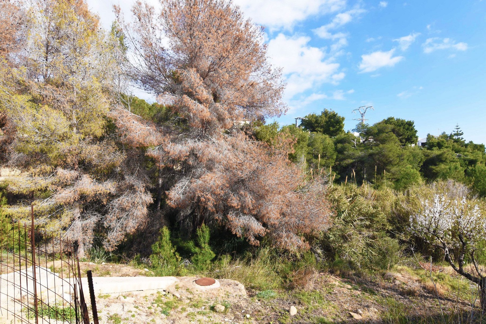 2 - beach walk plot of land for sale in benissa - costa blanca valencian community spain