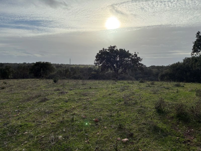 2 - house for sale in serpa alentejo portugal