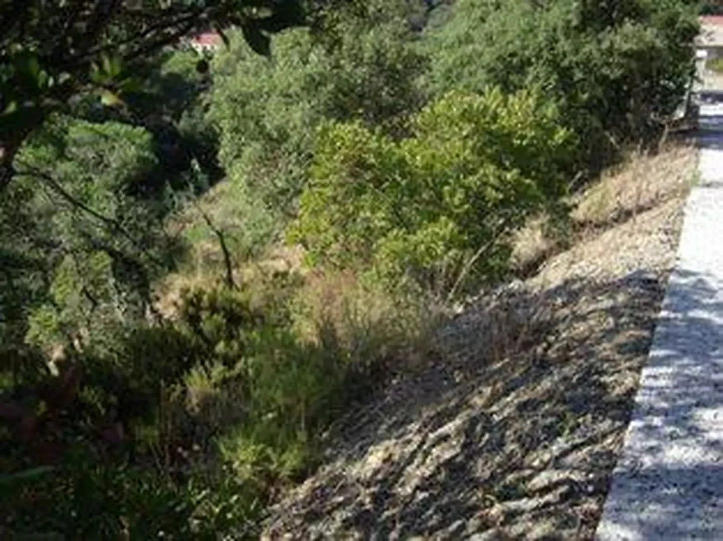 2 - venda terreno calonge catalunha espanha