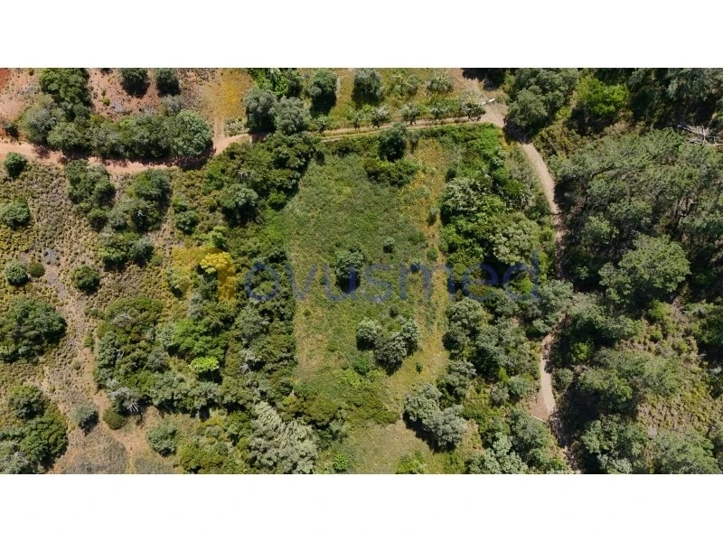2 - plot of land for sale in querença algarve portugal