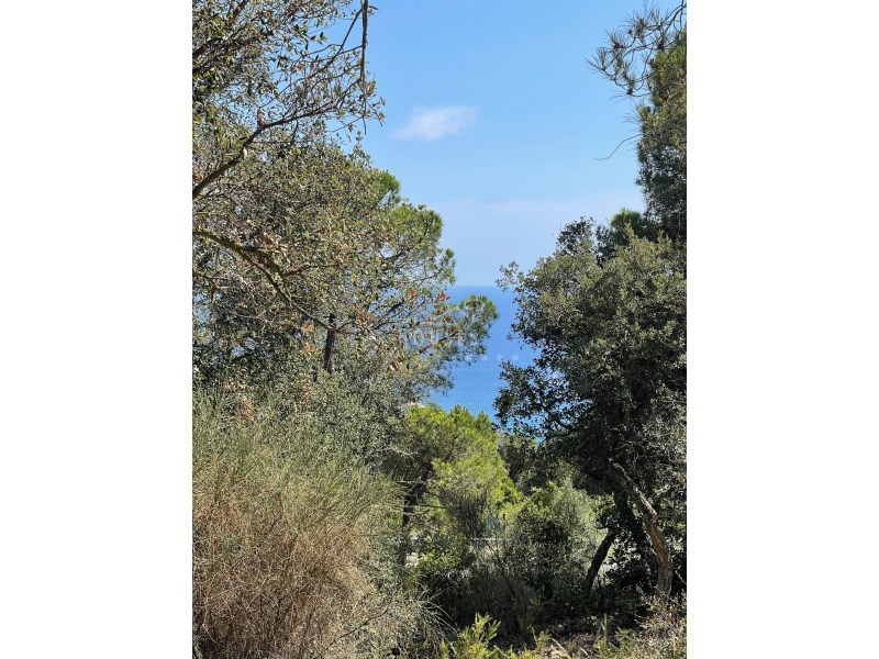 2 - house for sale in tossa de mar catalonia spain