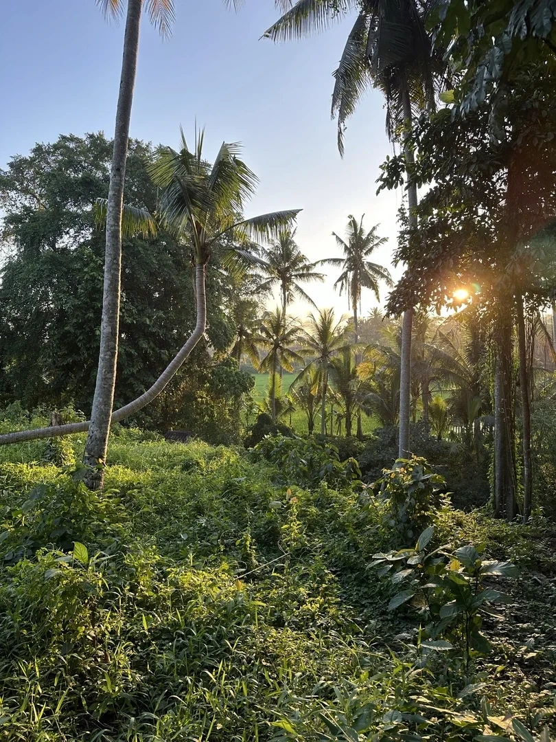 1 - venta villa ubud bali indonesia