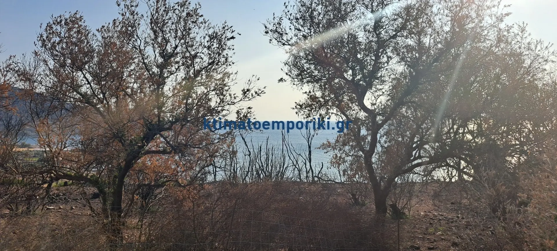 1 - продажа территория вид моря sfinári крит греция