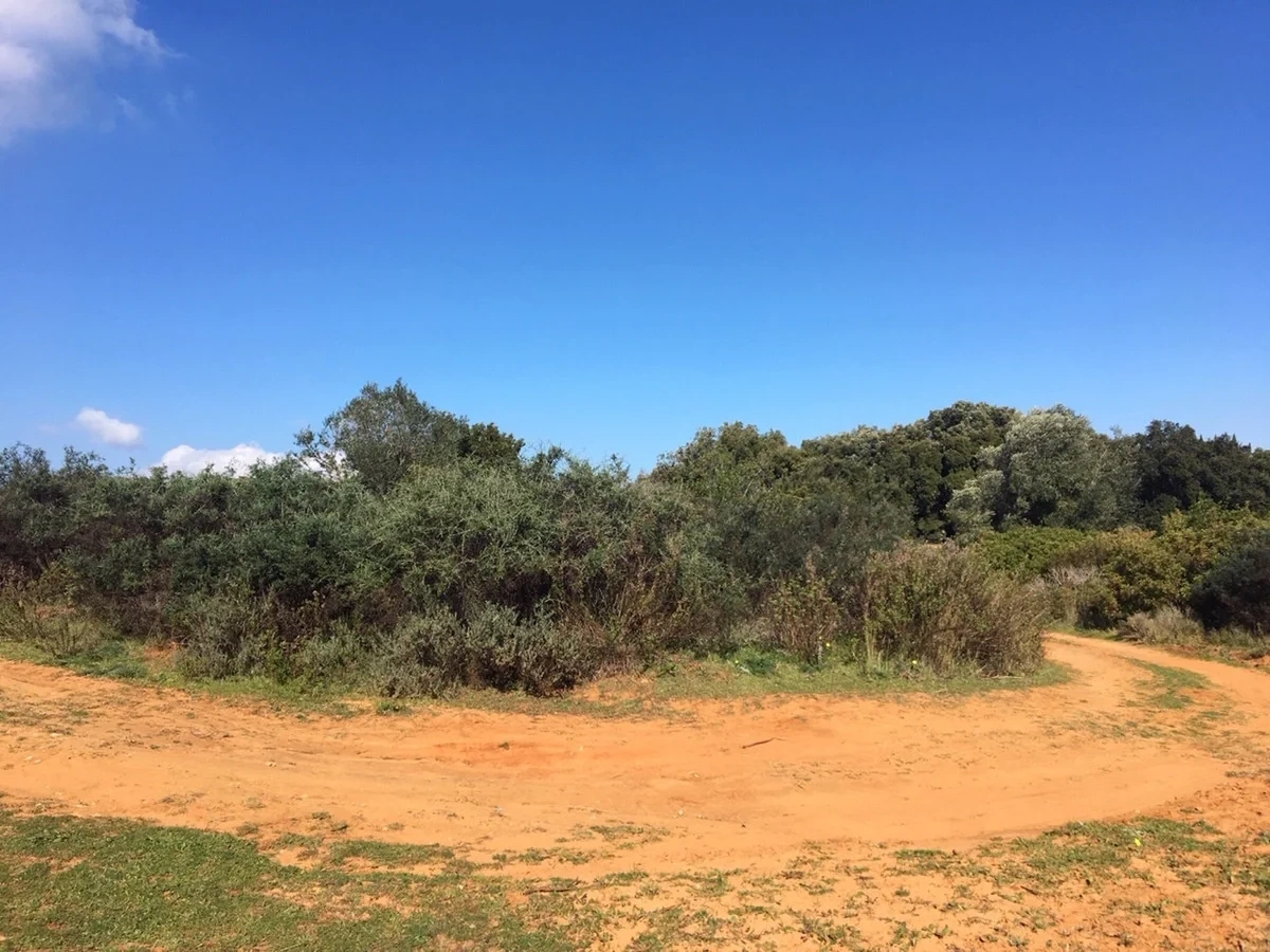 Terreno de 143 500 m²