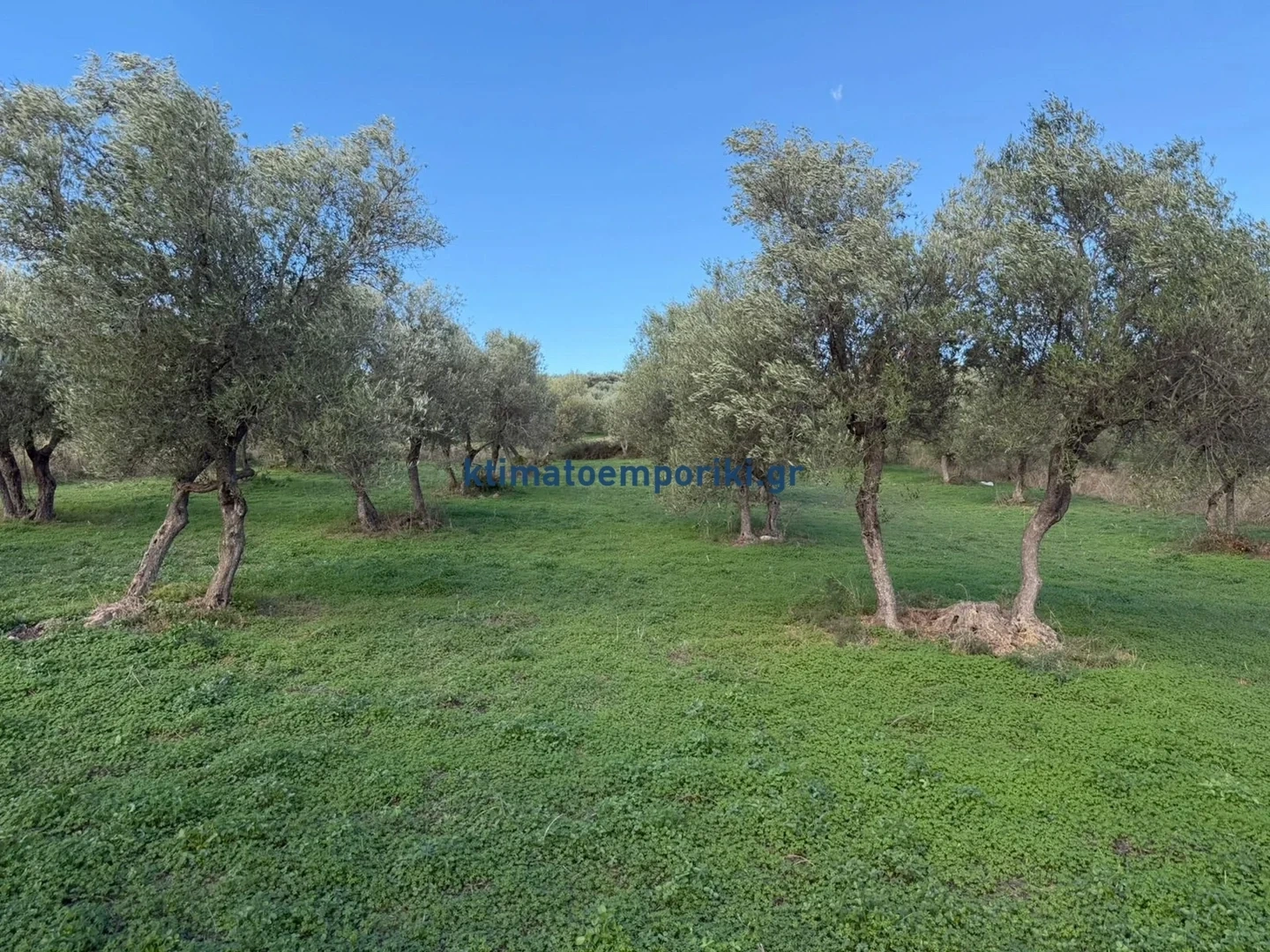 1 - vente terrain fres crète grèce