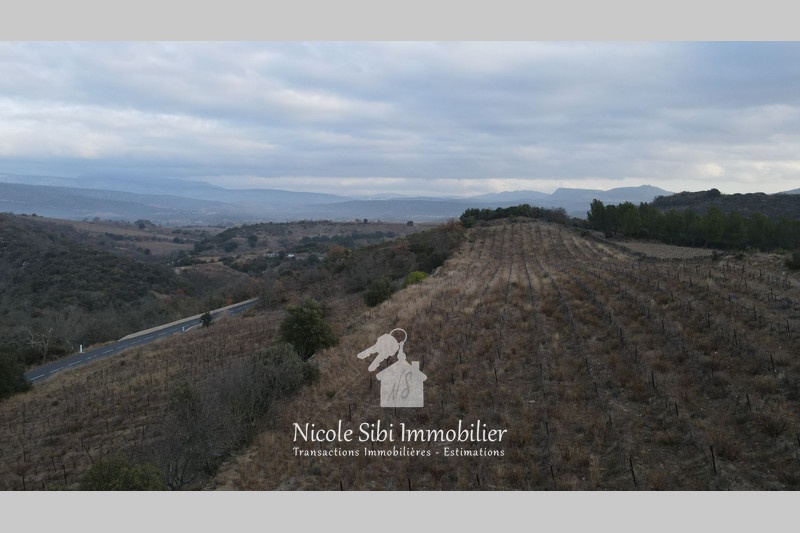 1 - verkoop terrein montner pyrénées-orientales frankrijk
