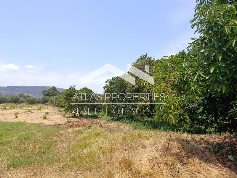 2 - vente terrain arménoi crète grèce