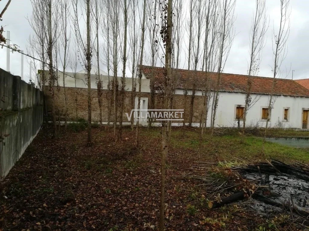 2 - verkoop landgoed constância centro region portugal