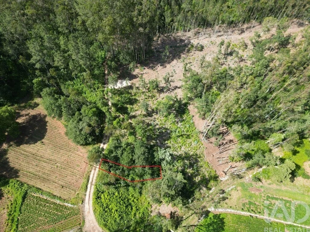 1 - vendita terreno alqueidão da serra regione centro portogallo