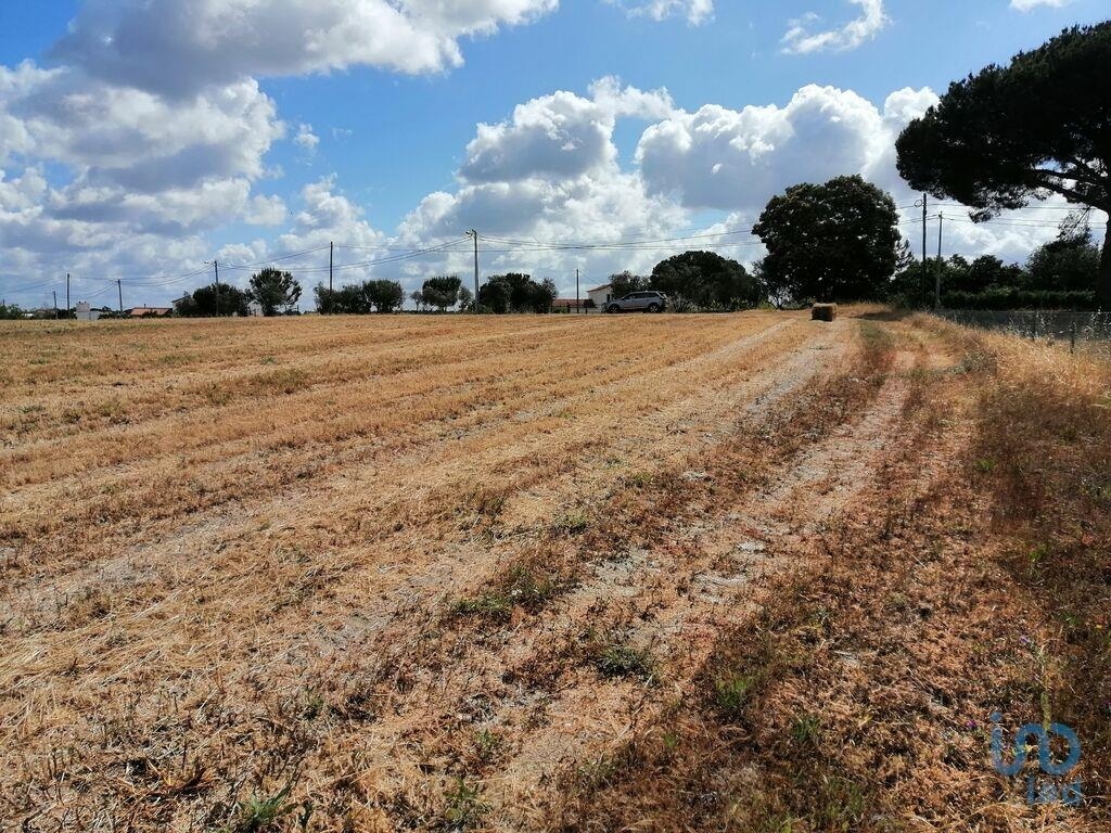 1 - vente terrain pegões région de lisbonne portugal