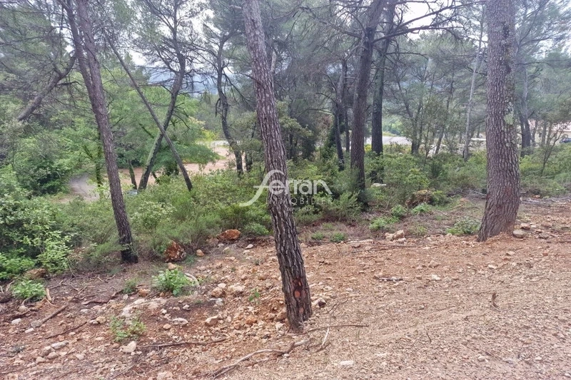 1 - vente terrain salernes var france