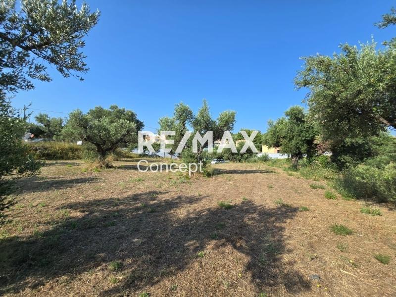 2 - venta terreno vista al mar zante islas jónicas grecia