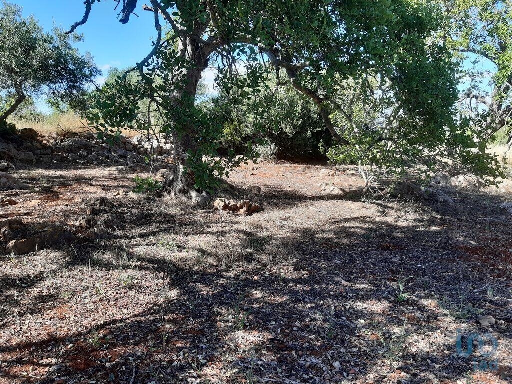 2 - vendita terreno alte algarve portogallo