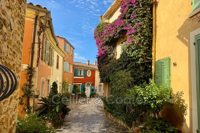 1 - house for sale in bormes-les-mimosas var france