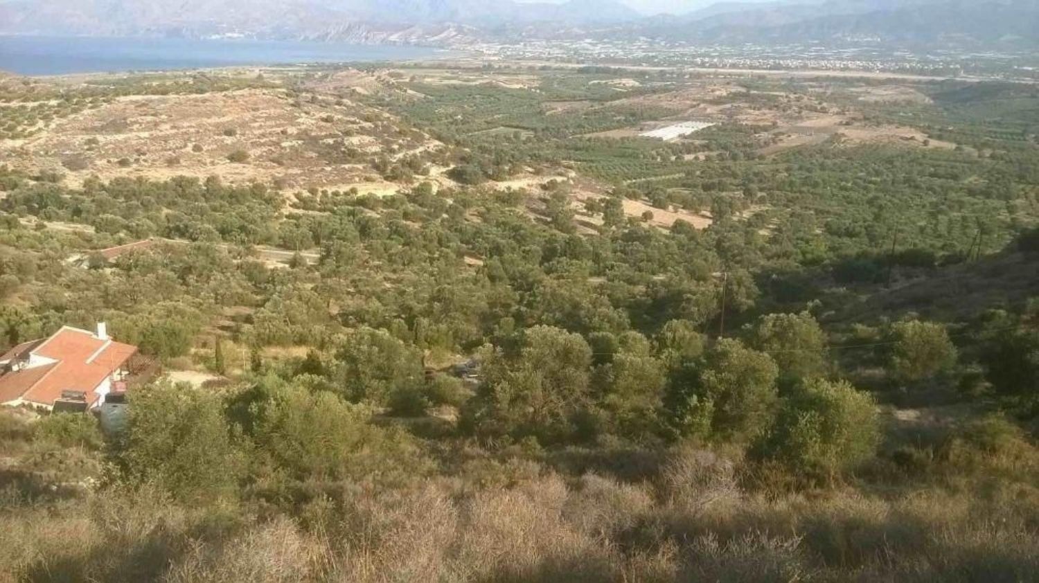 1 - vente terrain kamilárion crète grèce