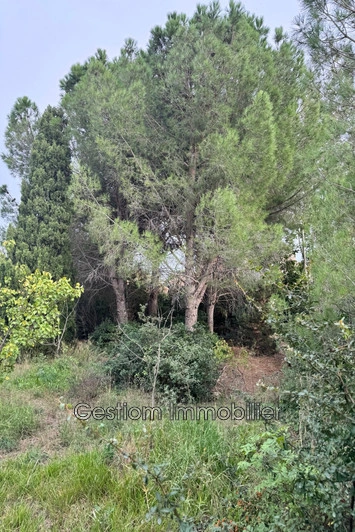 1 - venta terreno canohès pirineos orientales francia