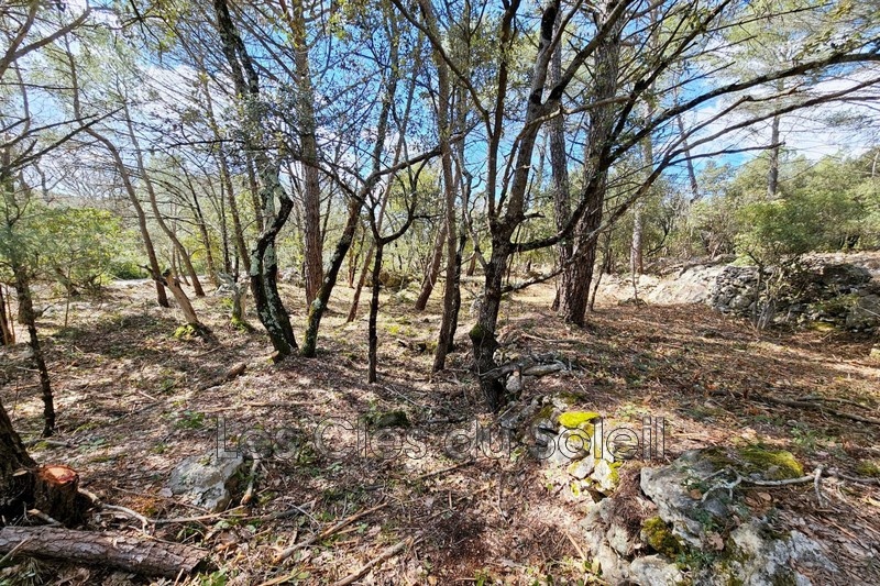 1 - plot of land for sale in camps-la-source var france