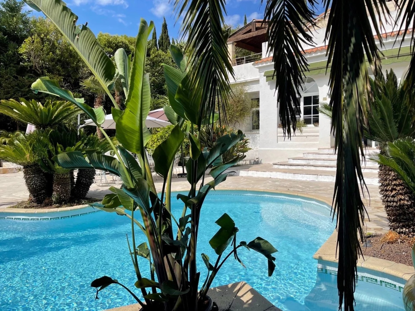 1 - house for vacation rentals in cannes alpes-maritimes france