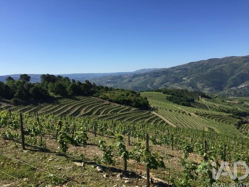 2 - vendita villa mesão frio regione nord portogallo