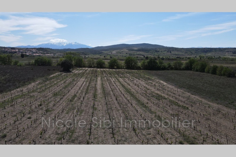 2 - verkoop terrein estagel pyrénées-orientales frankrijk