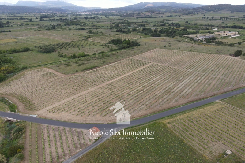 2 - venta terreno latour-de-france pirineos orientales francia