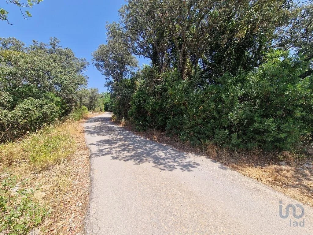 2 - plot of land for sale in santa bárbara de nexe algarve portugal