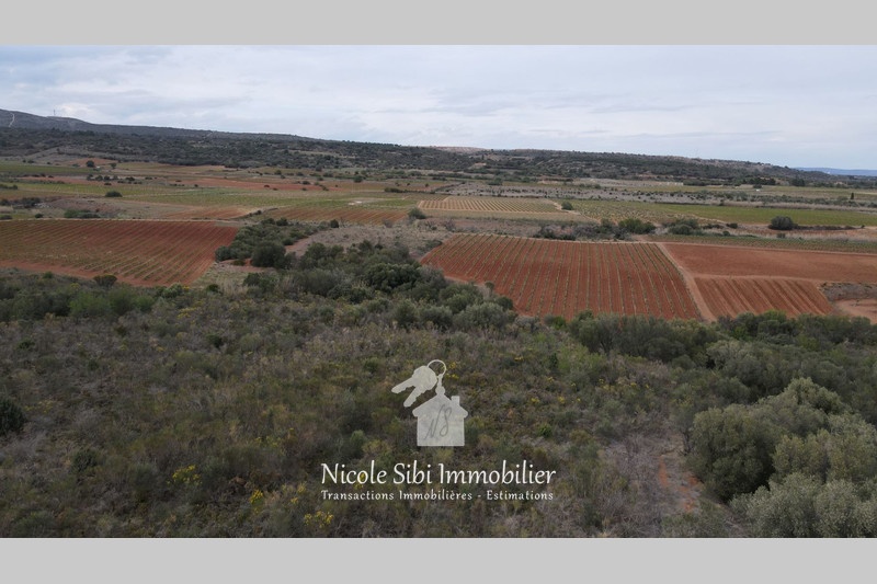 2 - verkoop terrein baixas pyrénées-orientales frankrijk