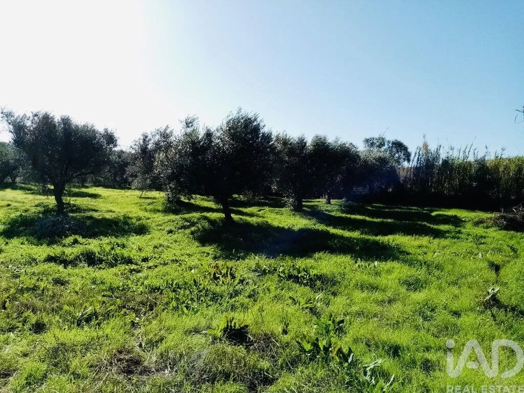 1 - verkoop terrein vidigueira alentejo portugal