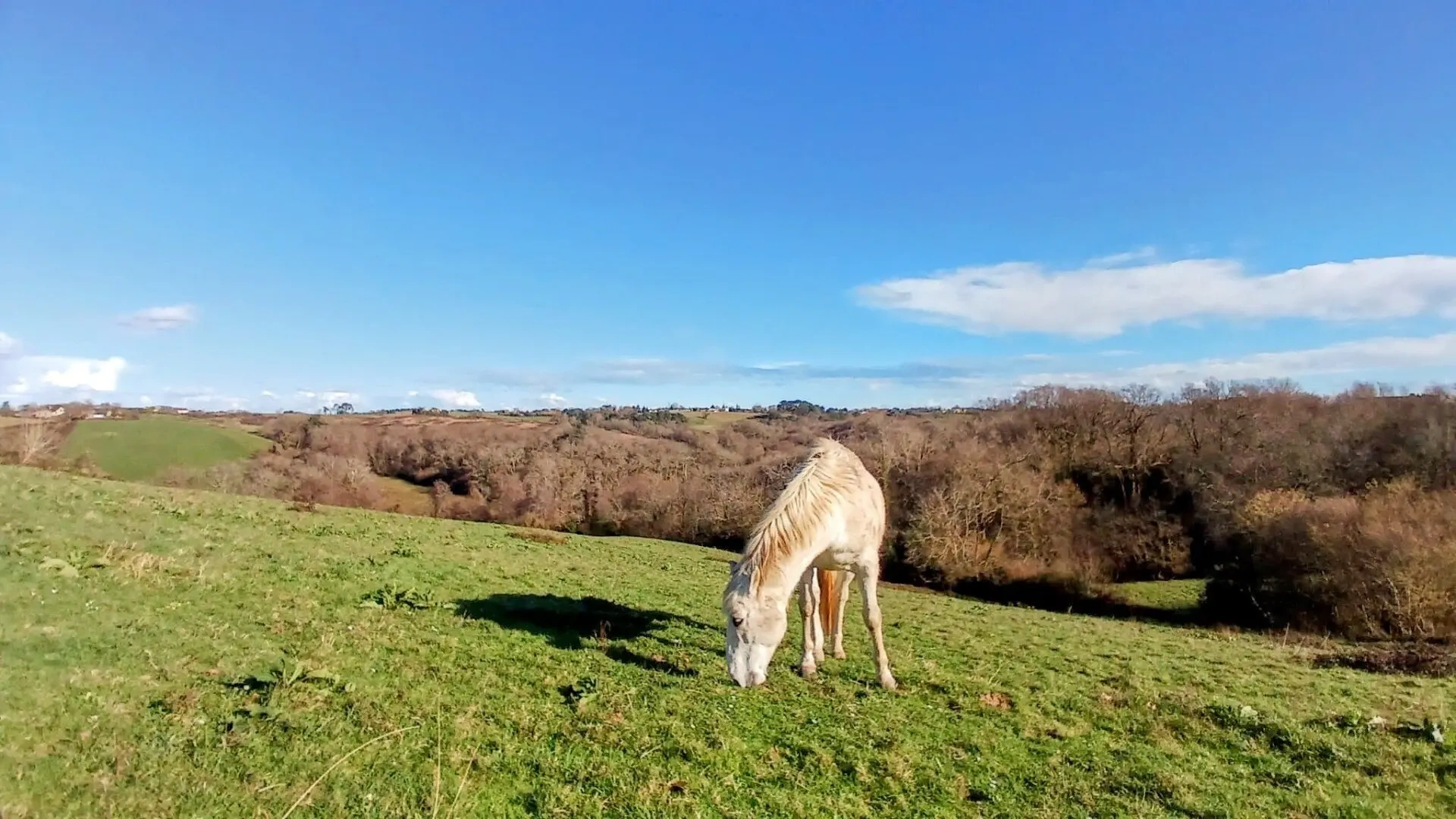 2 - house for sale in ossages landes france