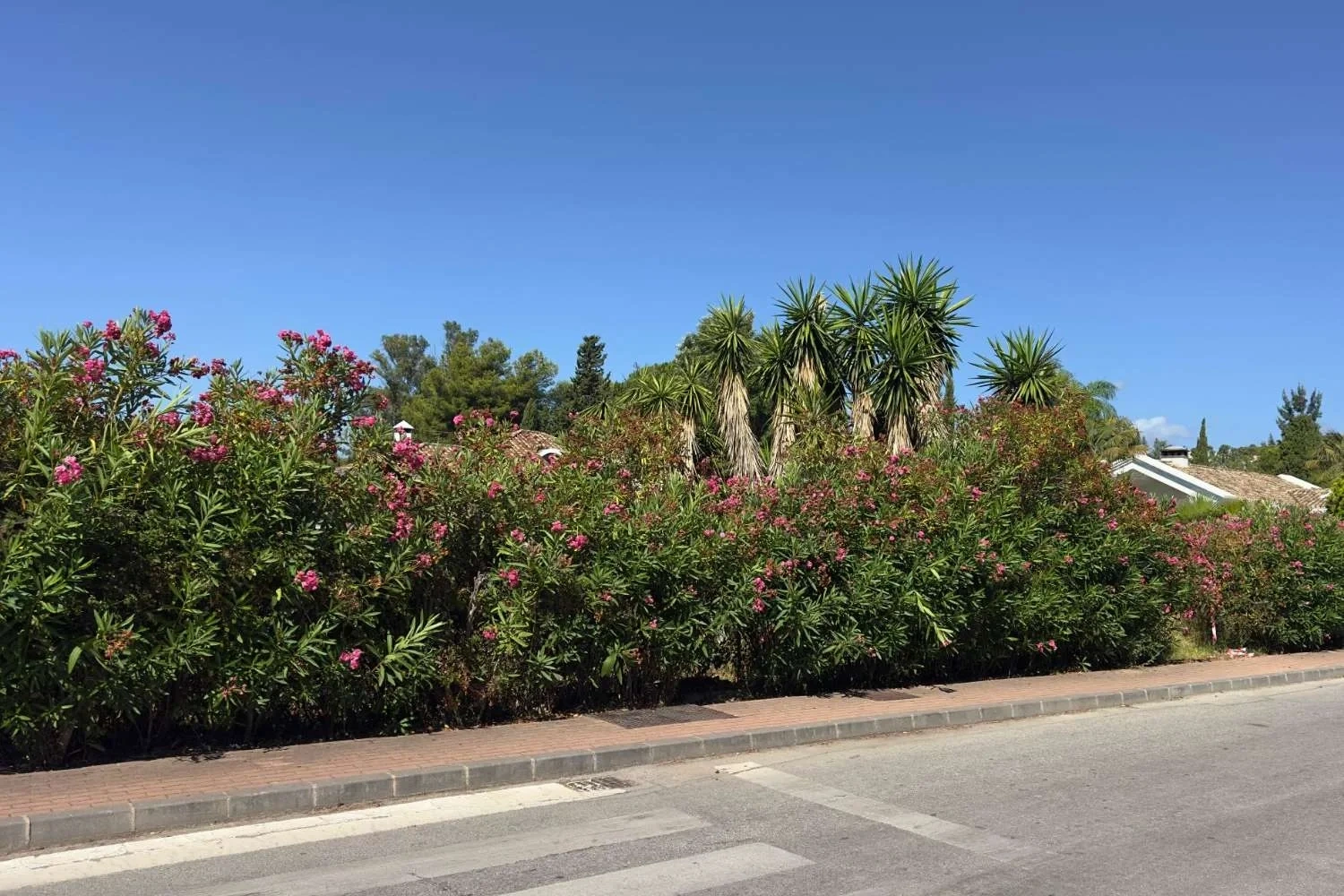 1 - vente terrain marbella - costa del sol andalousie espagne