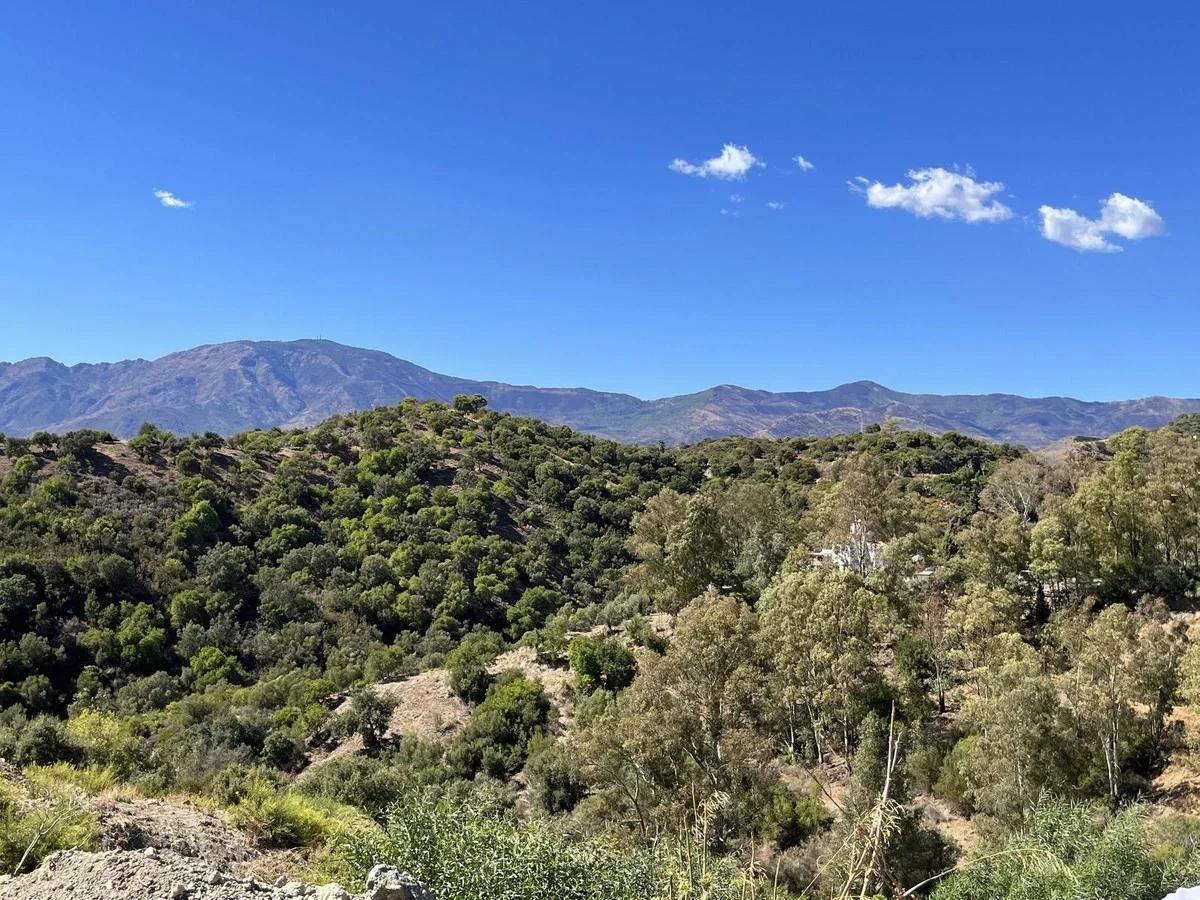 Terreno de 4 124 m²