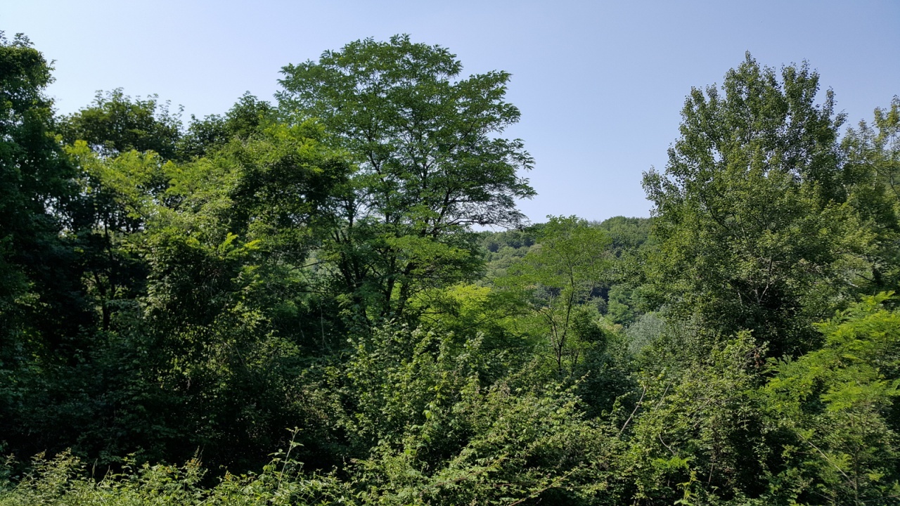 2 - venta terreno cornuda véneto italia