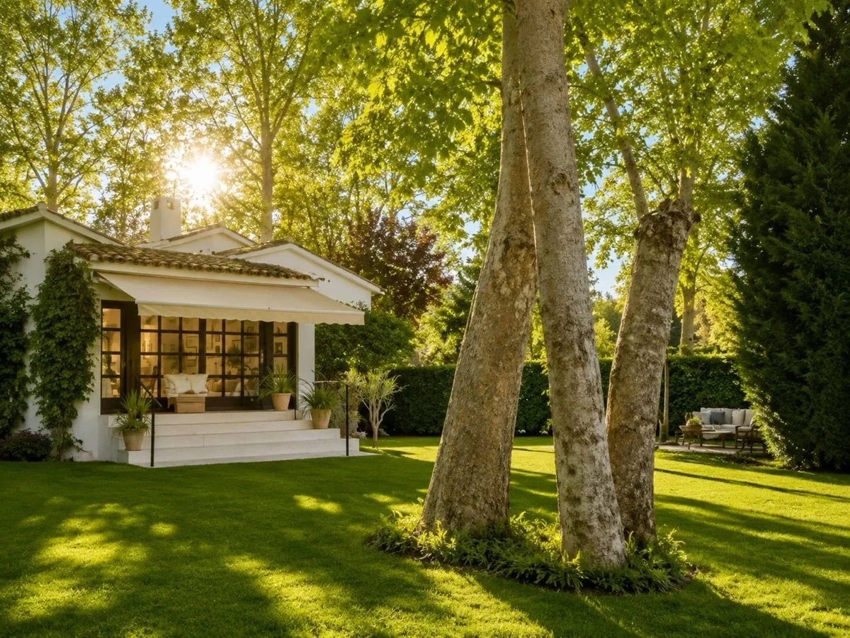 2 - vente maison san pedro de alcántara andalousie espagne