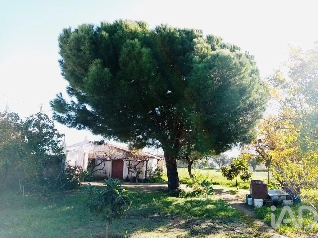 2 - verkoop terrein vidigueira alentejo portugal