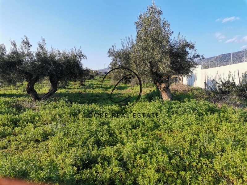 1 - vente terrain aspropirgos attique grèce