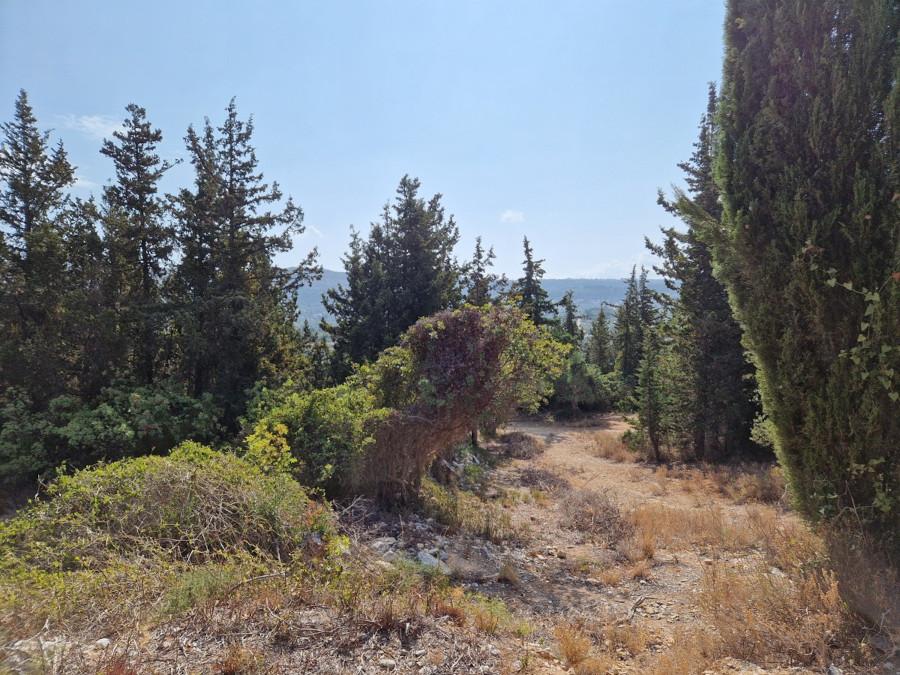 2 - vente terrain douliana crète grèce