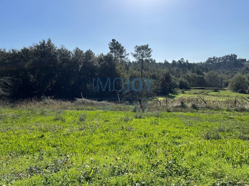 1 - plot of land for sale in gandra north region portugal