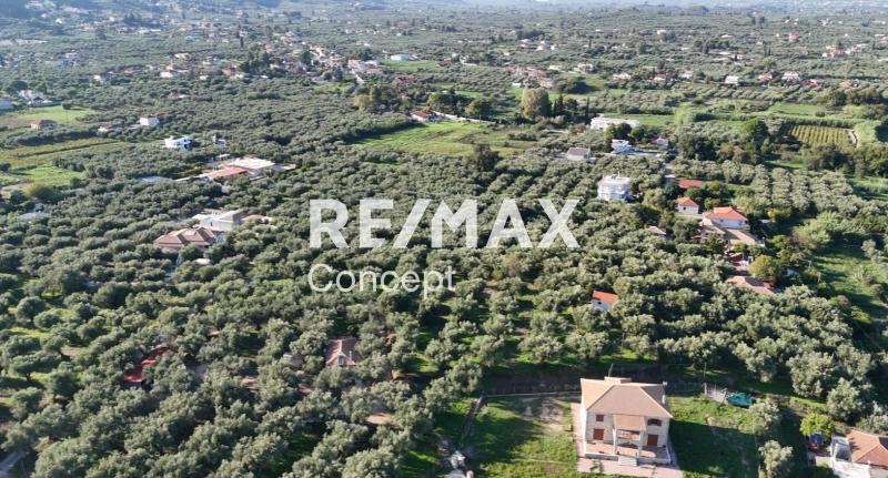 2 - vendita terreno zante isole ioniche grecia